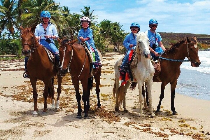 Horseback Riding along the Beach - Photo 1 of 6